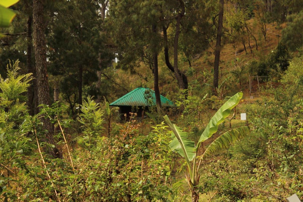 נייניטל Heal Farm - Himalayan Eco Alternative Lifestyle For Agriculture Recreation And Meditation מראה חיצוני תמונה