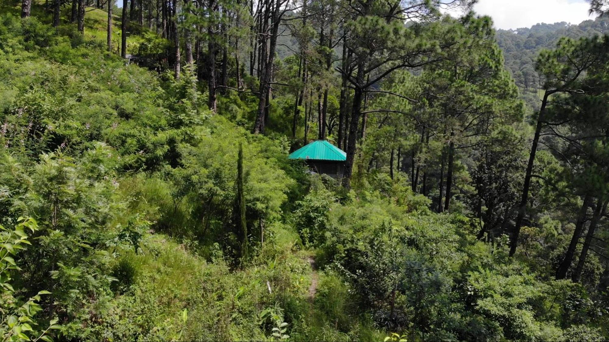 נייניטל Heal Farm - Himalayan Eco Alternative Lifestyle For Agriculture Recreation And Meditation מראה חיצוני תמונה