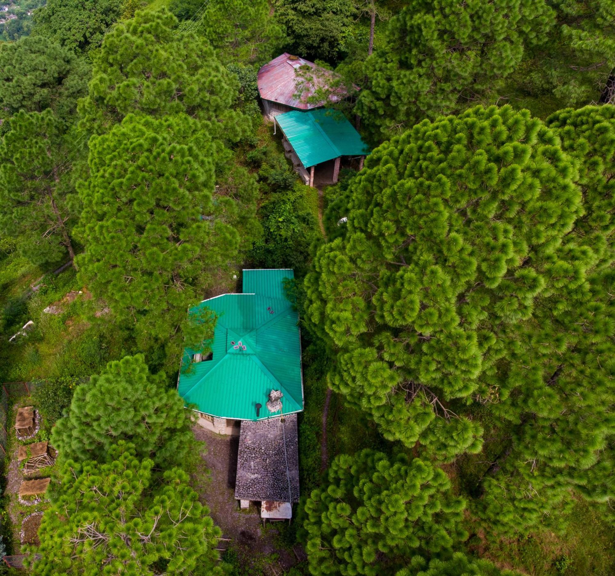 נייניטל Heal Farm - Himalayan Eco Alternative Lifestyle For Agriculture Recreation And Meditation מראה חיצוני תמונה